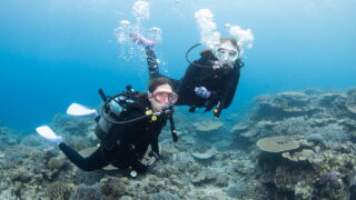 Diving in the Kerama Islands with Guests from the USA and Singapore