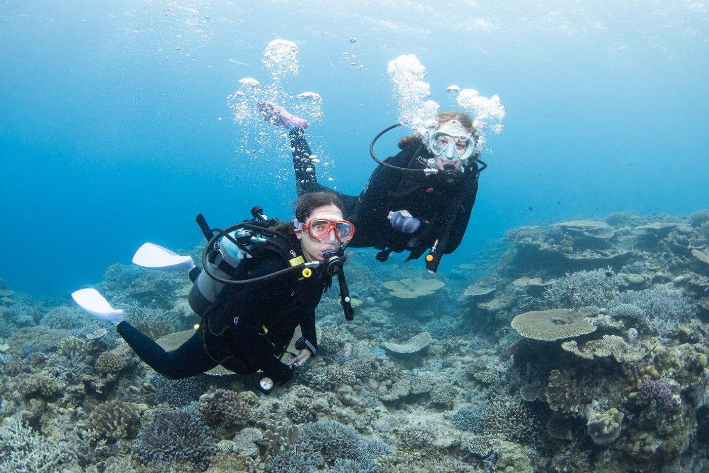 Guests enjoying scuba diving in the Kerama Islands