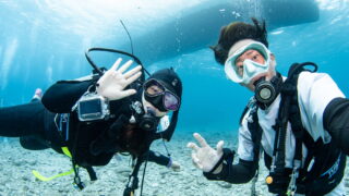 Diving in the Kerama Islands with Guests from South Korea. Sea Turtle