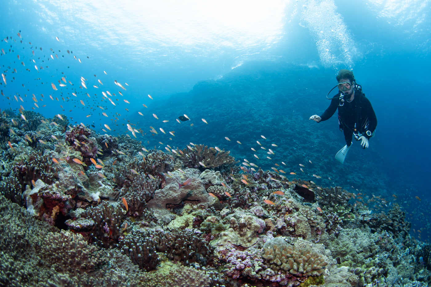 Underwater scenery