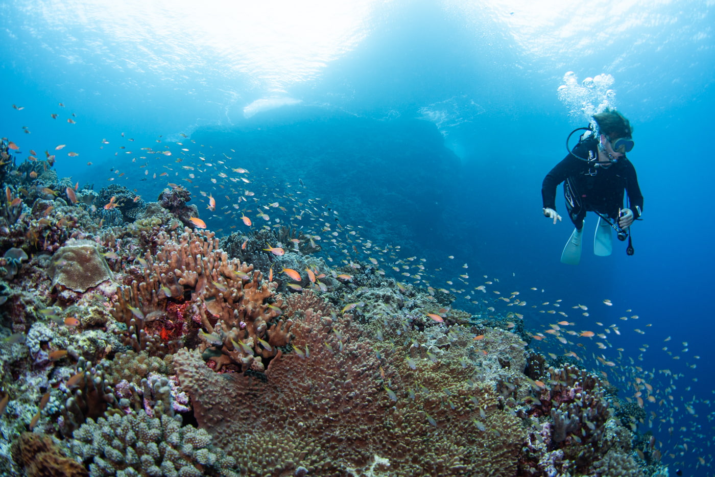 Underwater scenery