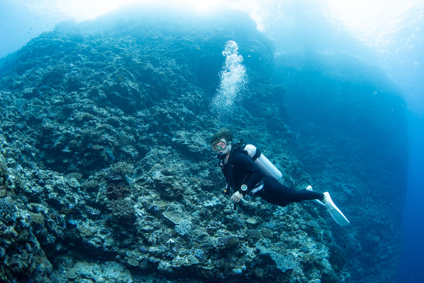 Underwater scenery