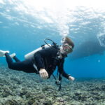 Diving in the Kerama Islands With Guests From the Netherlands. Reef Shark and Sea Turtle
