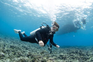 Diving in the Kerama Islands With Guests From the Netherlands. Reef Shark and Sea Turtle
