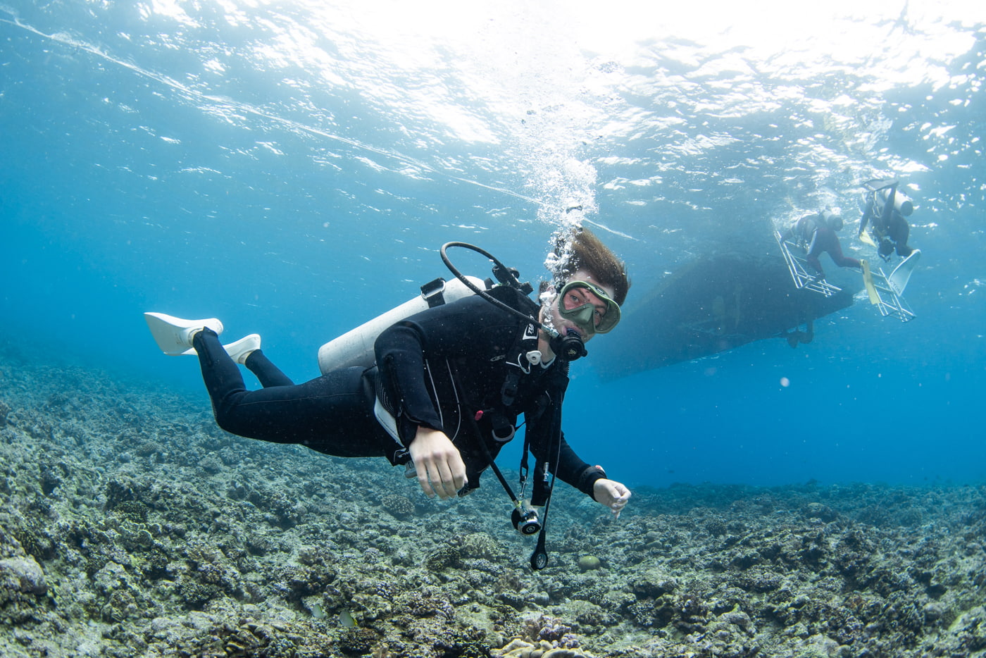 Guests enjoying scuba diving in the Kerama Islands.
