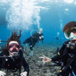 Diving the Kerama Islands With Guests From the Netherlands and Taiwan. Beautiful Caves and Sea Turtles