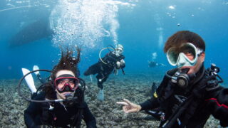 Diving the Kerama Islands With Guests From the Netherlands and Taiwan. Beautiful Caves and Sea Turtles