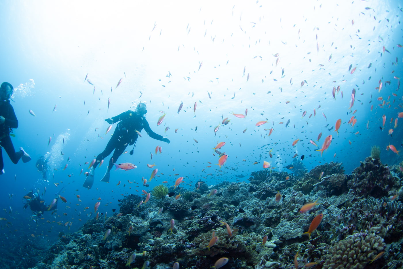 underwater scenery