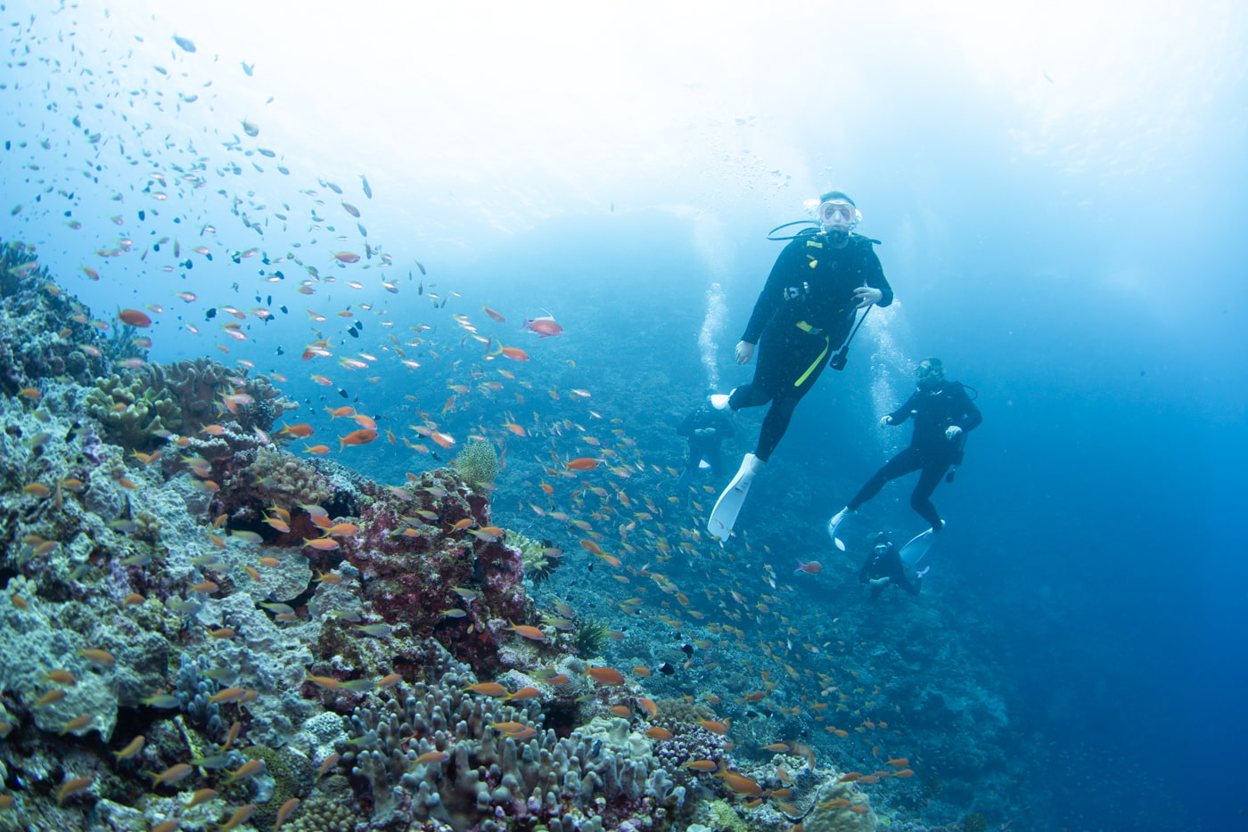 underwater scenery