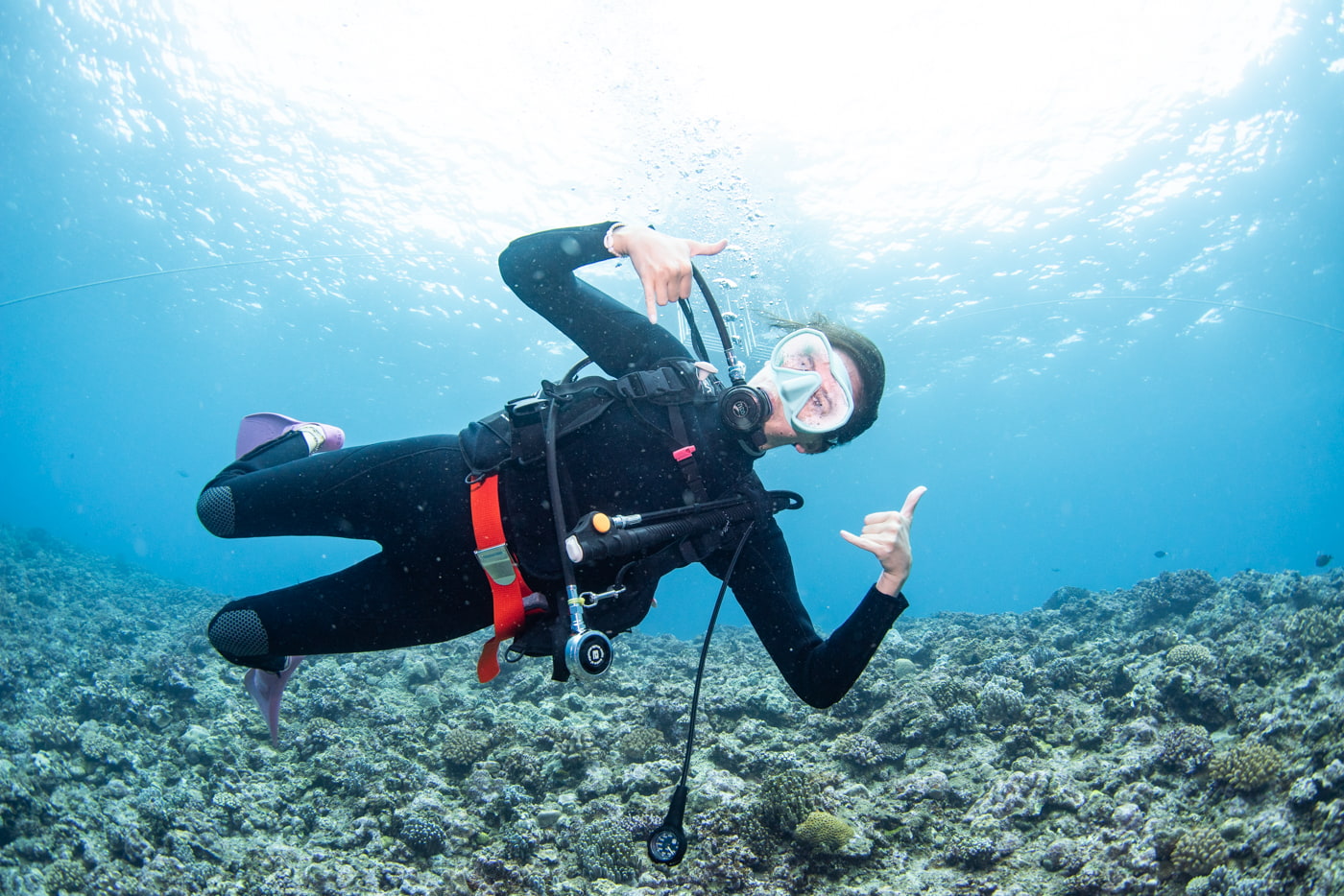 Guests enjoying scuba diving in the Kerama Islands.