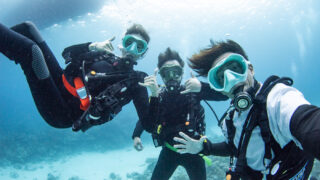 Diving in the Kerama Islands with Guests from Switzerland, Germany, and New Zealand
