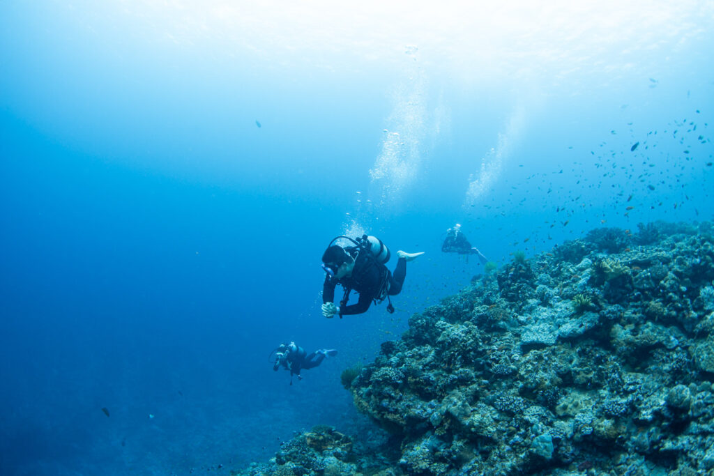 Underwater scenery