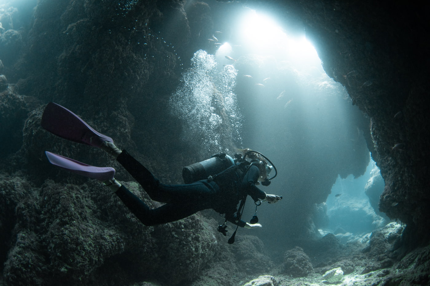Guests diving inside a cave.