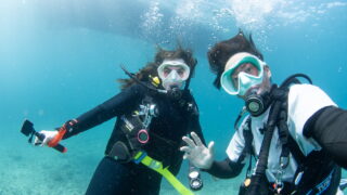 Diving in the Kerama Islands with a Guest from Germany. Cave, Whitetip reef shark