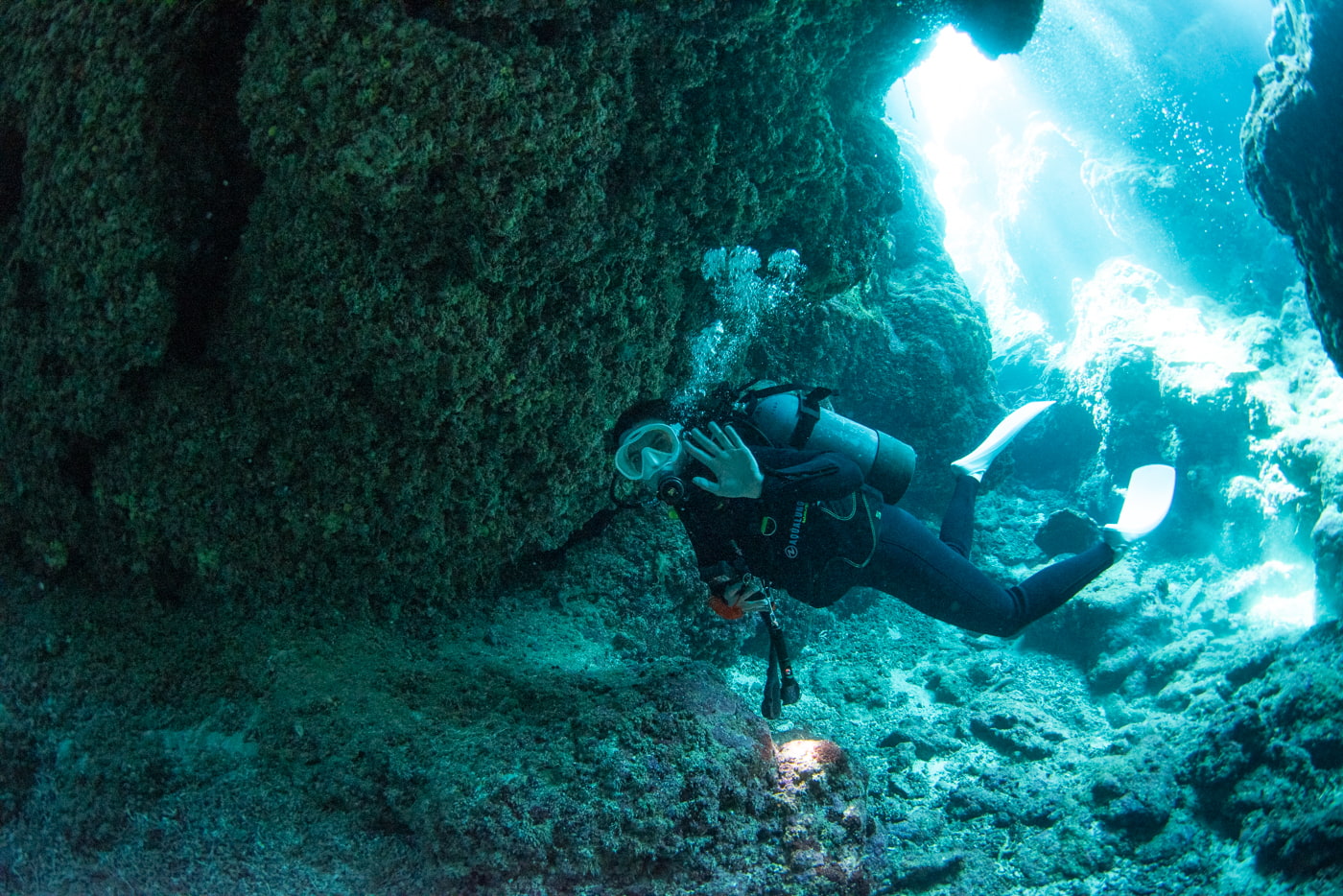 Guests diving inside a cave.