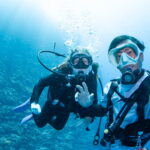 Diving in the Kerama Islands with Guests from France – Turtles, Sharks and Caves