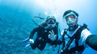 Diving in the Kerama Islands with Guests from France – Turtles, Sharks and Caves