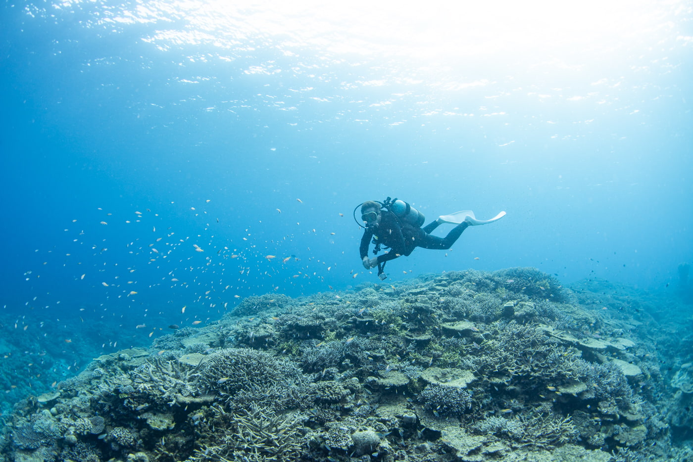 Underwater scenery