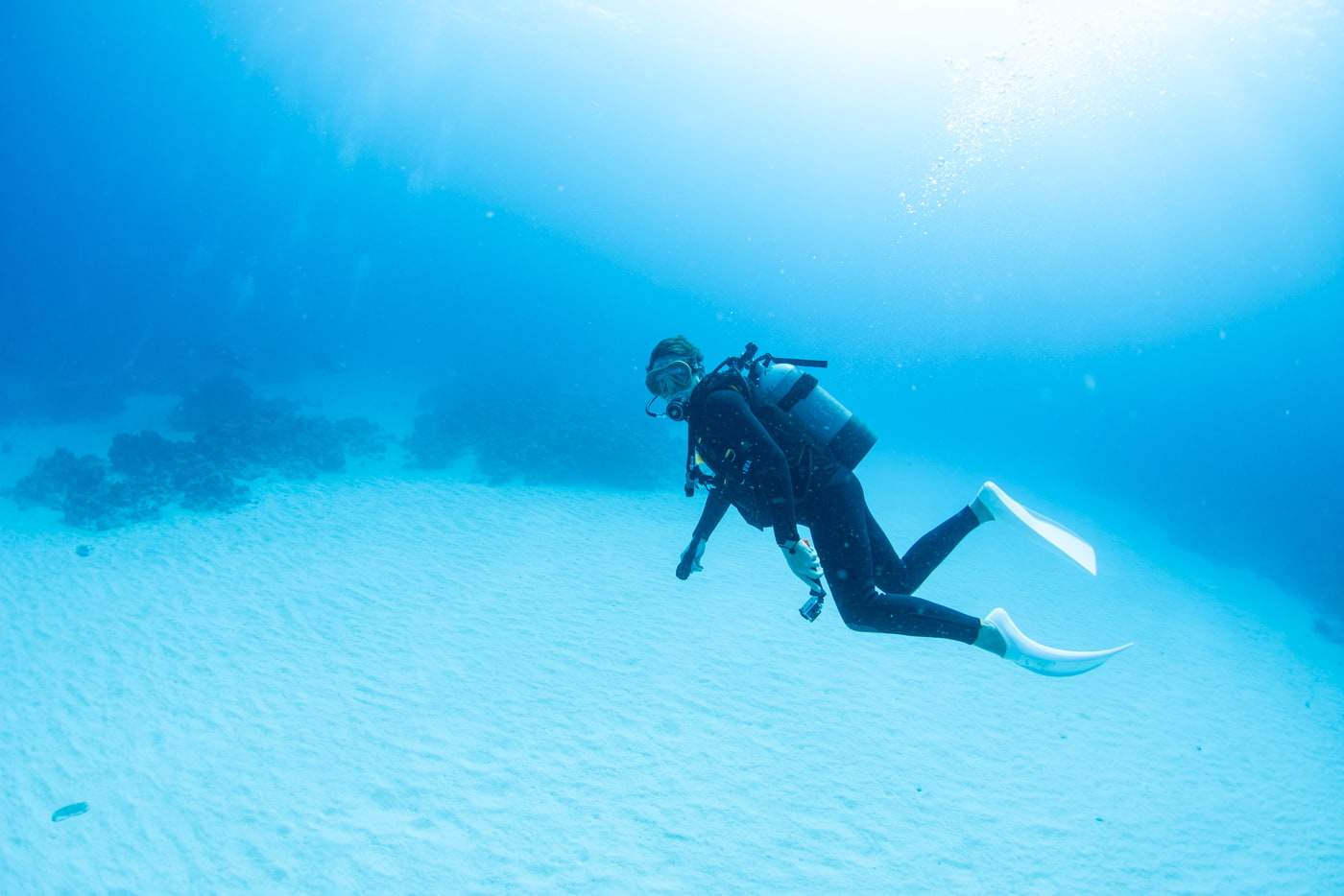 Guests enjoying scuba diving in the Kerama Islands.