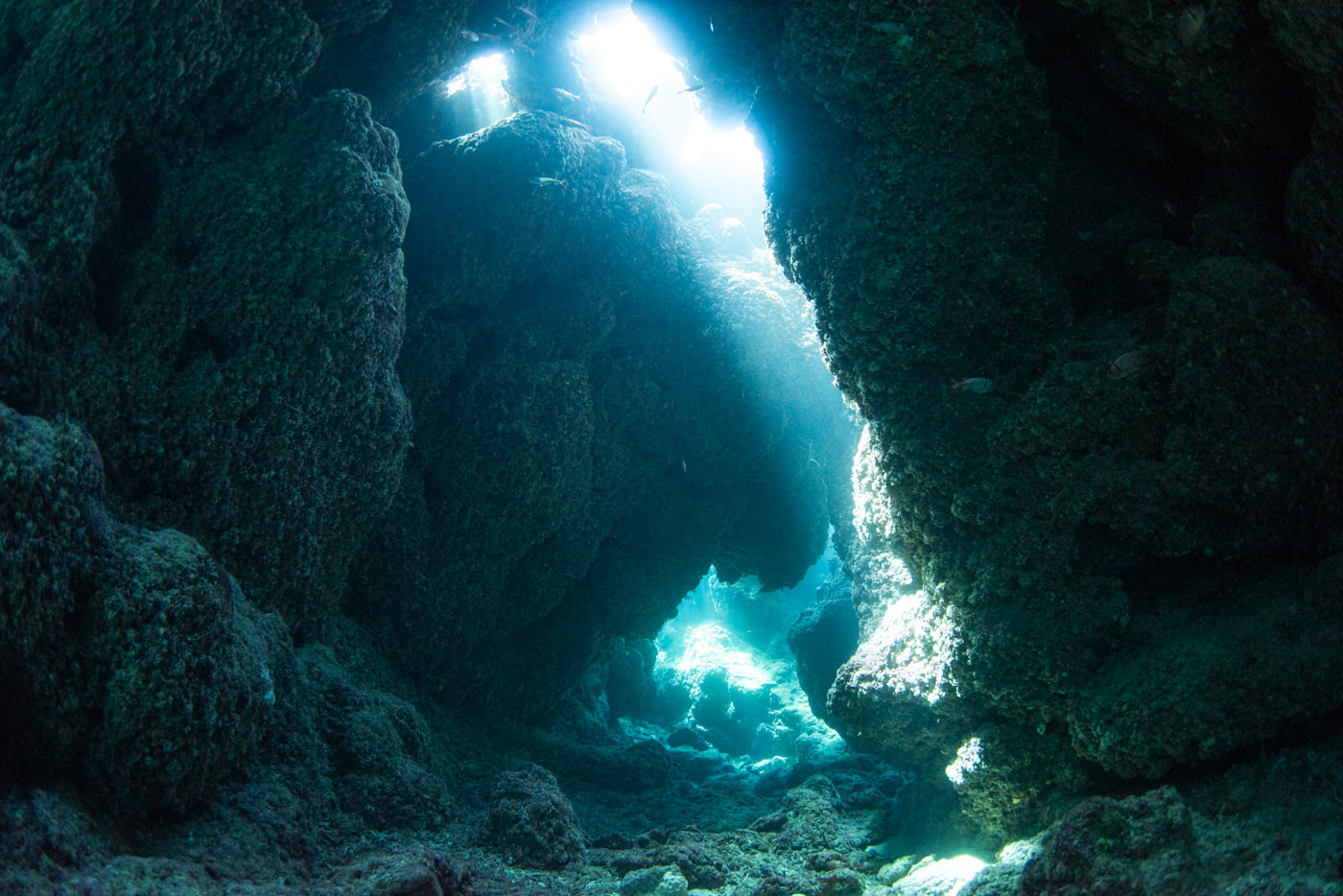 Inside a beautiful cave