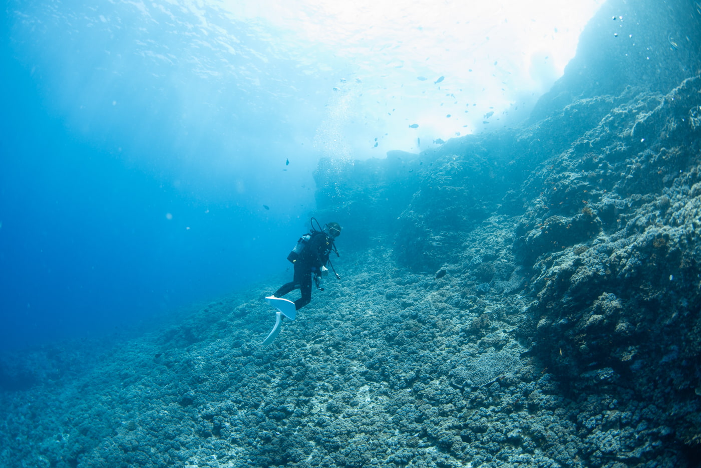 Underwater scenery