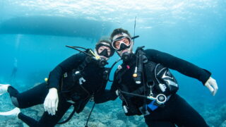 Diving in the Kerama Islands with Guests from Australia and France
