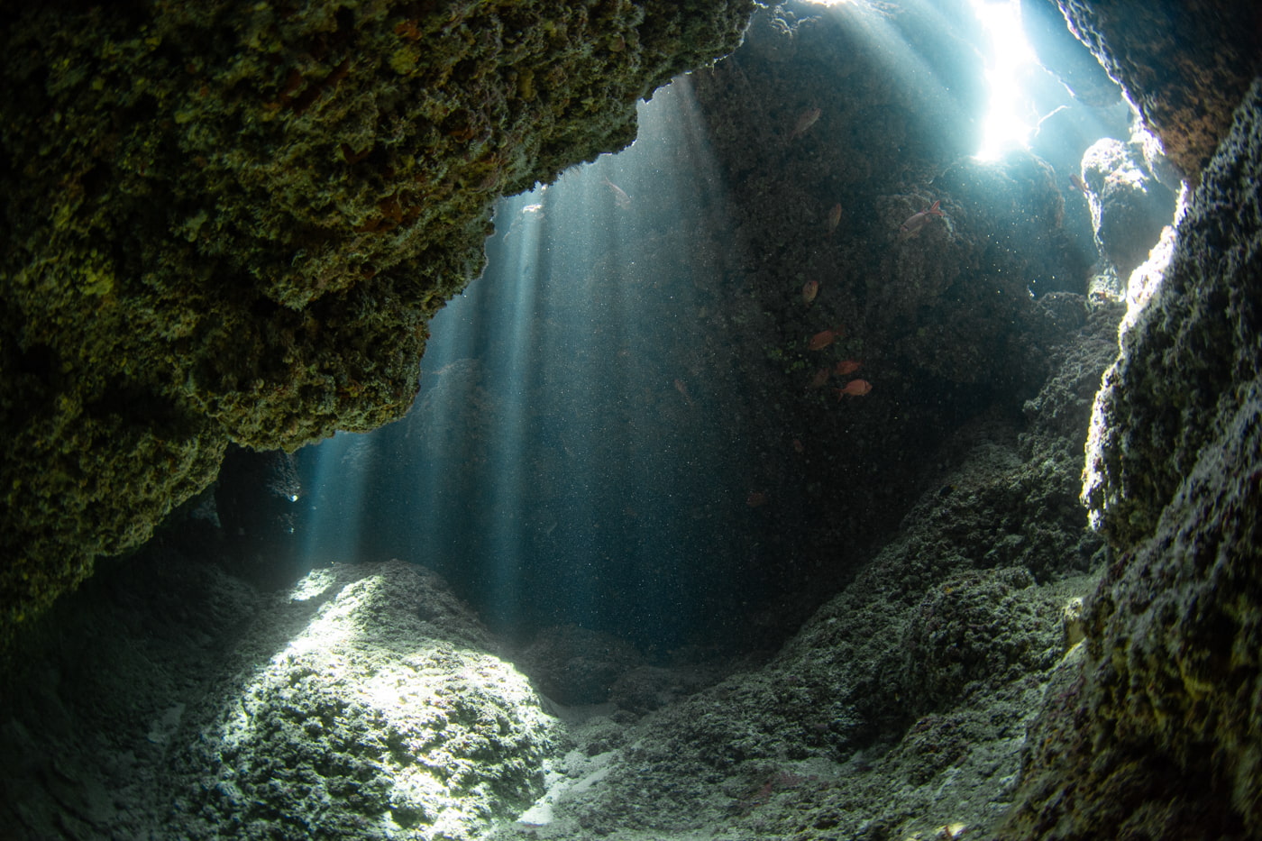 Inside a beautiful cave