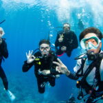 Diving in the Kerama Islands with Guests from the UK, Germany, and Singapore