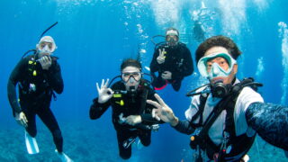 Diving in the Kerama Islands with Guests from the UK, Germany, and Singapore