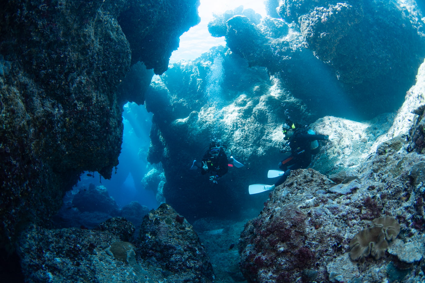 Guests diving inside a cave.