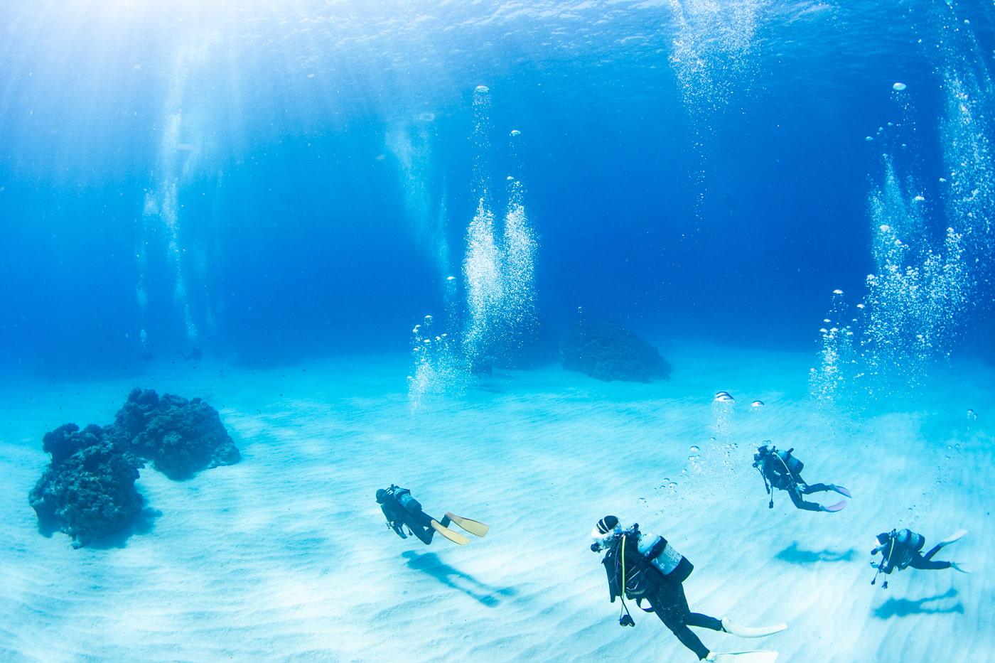 Guests enjoying scuba diving in the Kerama Islands.