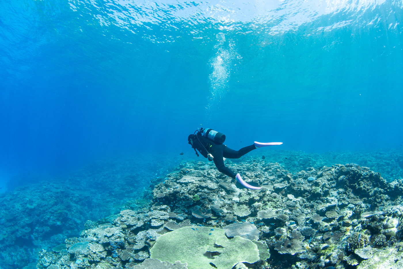 Underwater scenery