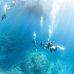 Diving in the Kerama Islands with Guests from the Netherlands and the USA