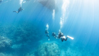 Diving in the Kerama Islands with Guests from the Netherlands and the USA