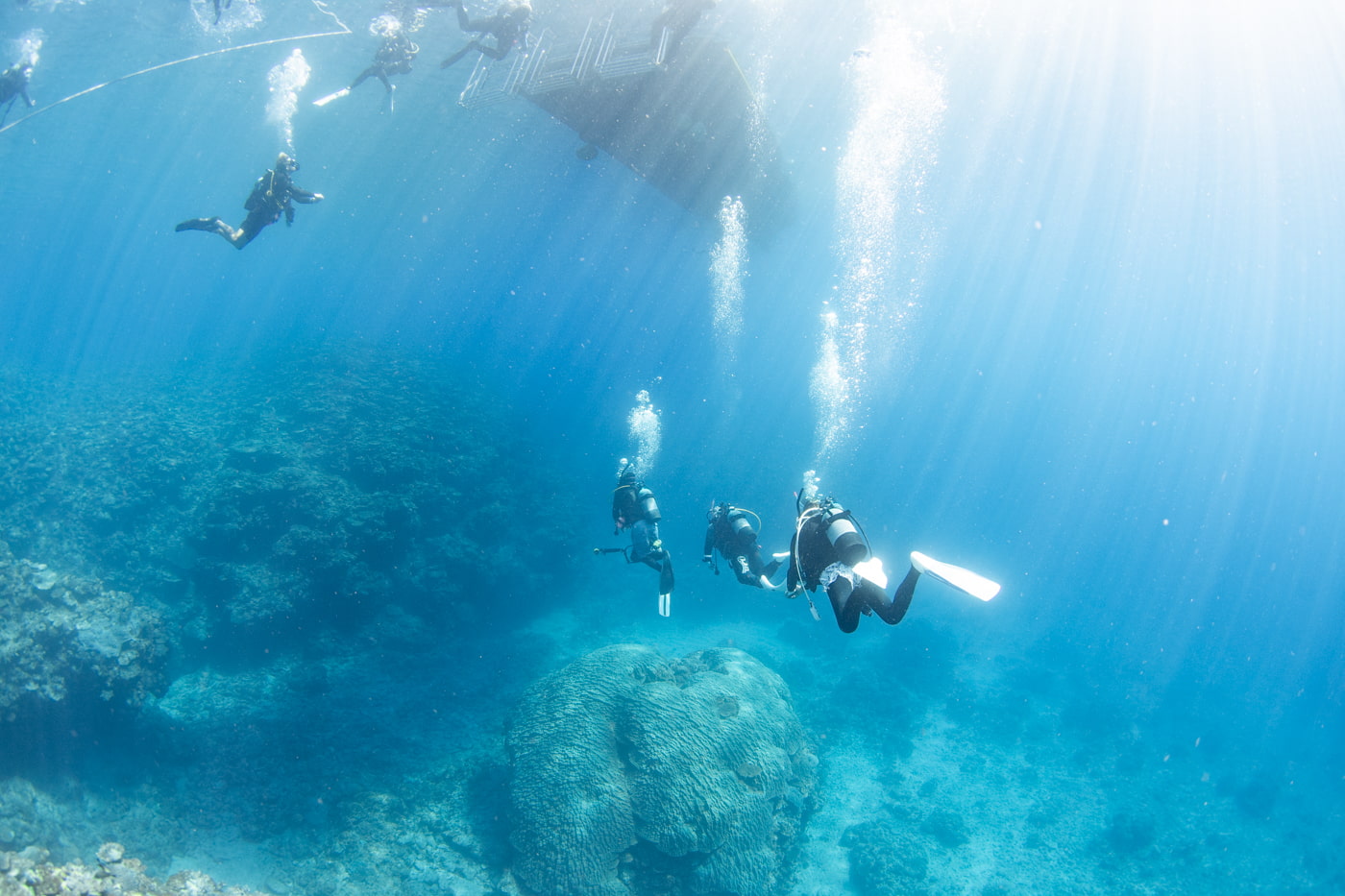 Underwater scenery