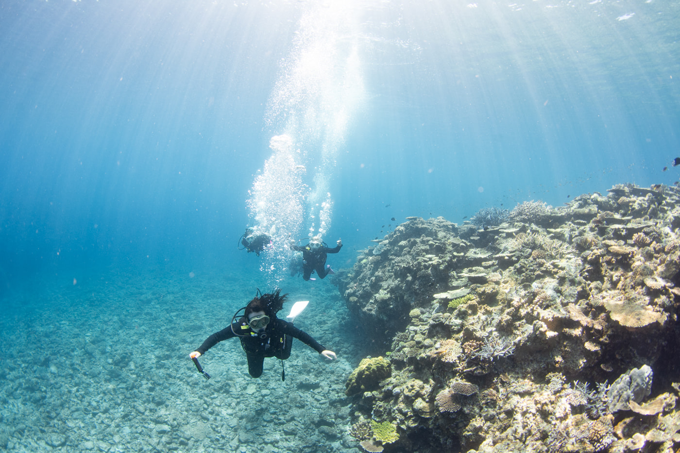 Guests enjoying scuba diving in the Kerama Islands.