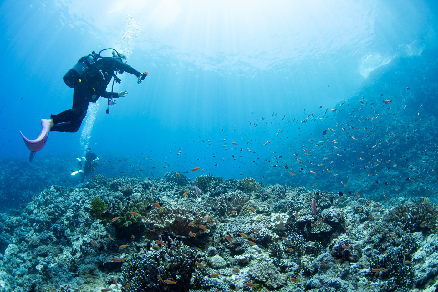 Underwater scenery