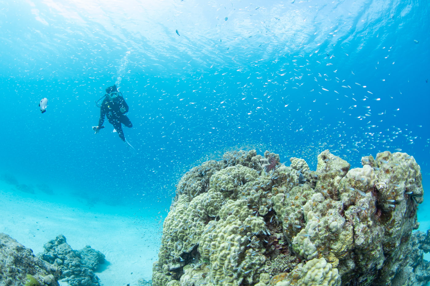Underwater scenery