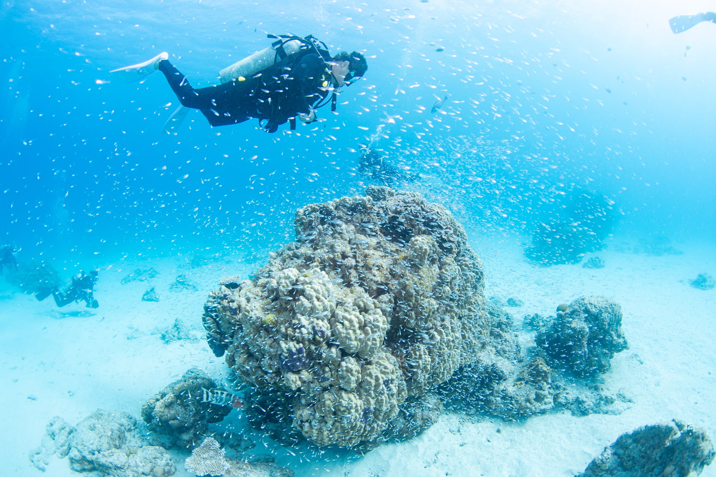 Underwater scenery