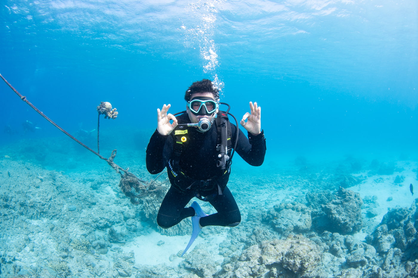 Guests enjoying scuba diving in the Kerama Islands.