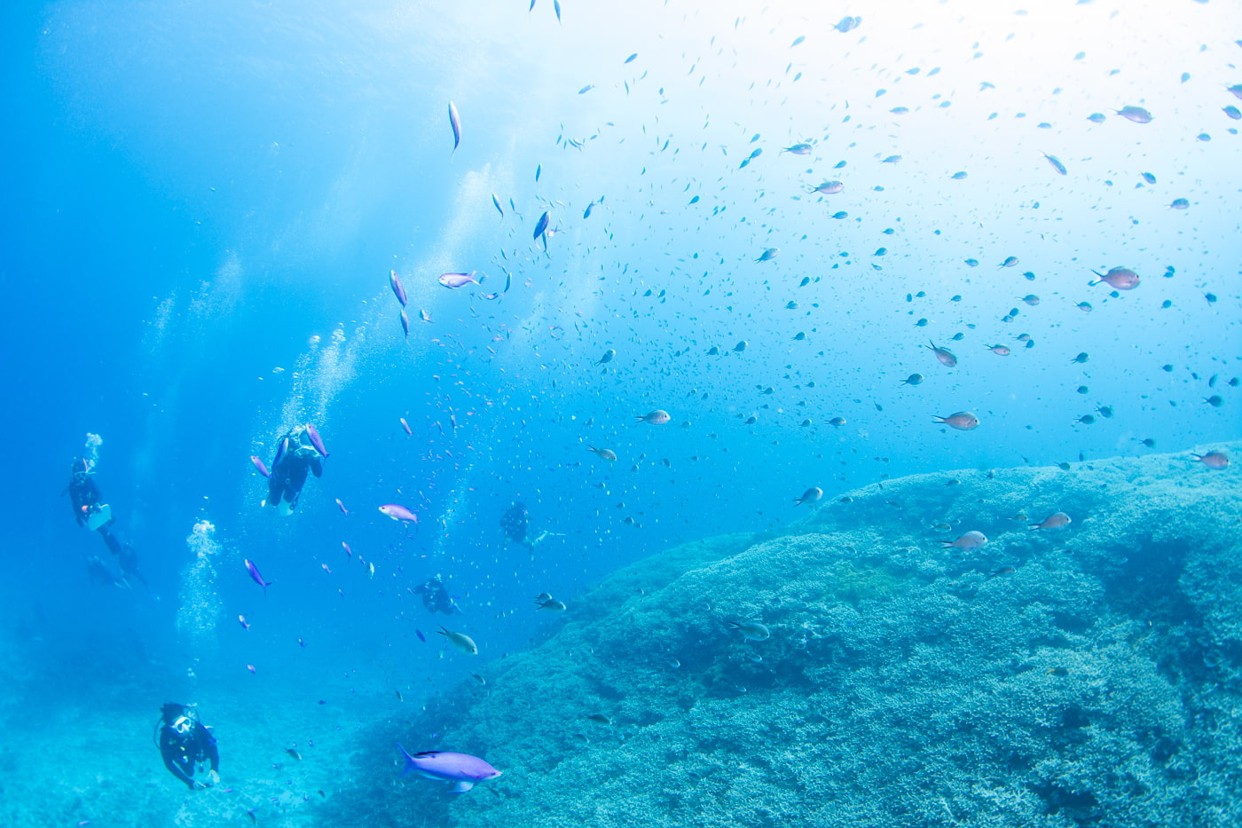 Underwater scenery