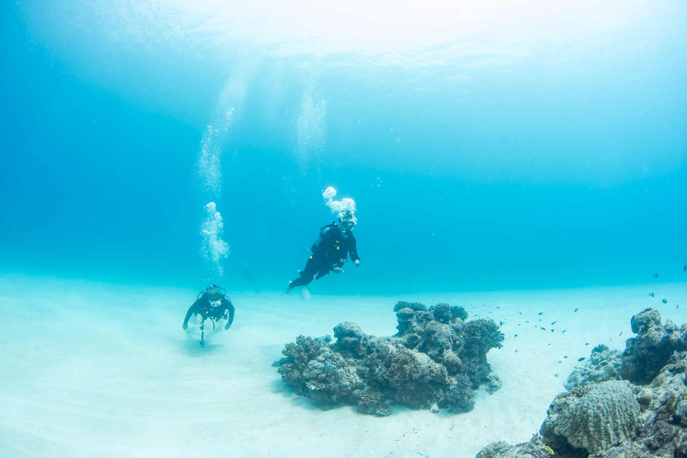 Underwater scenery