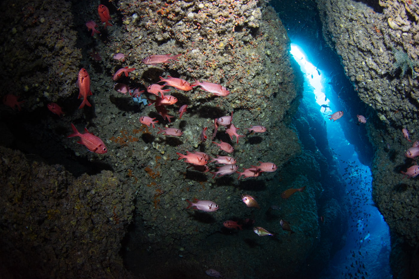 Inside a beautiful cave