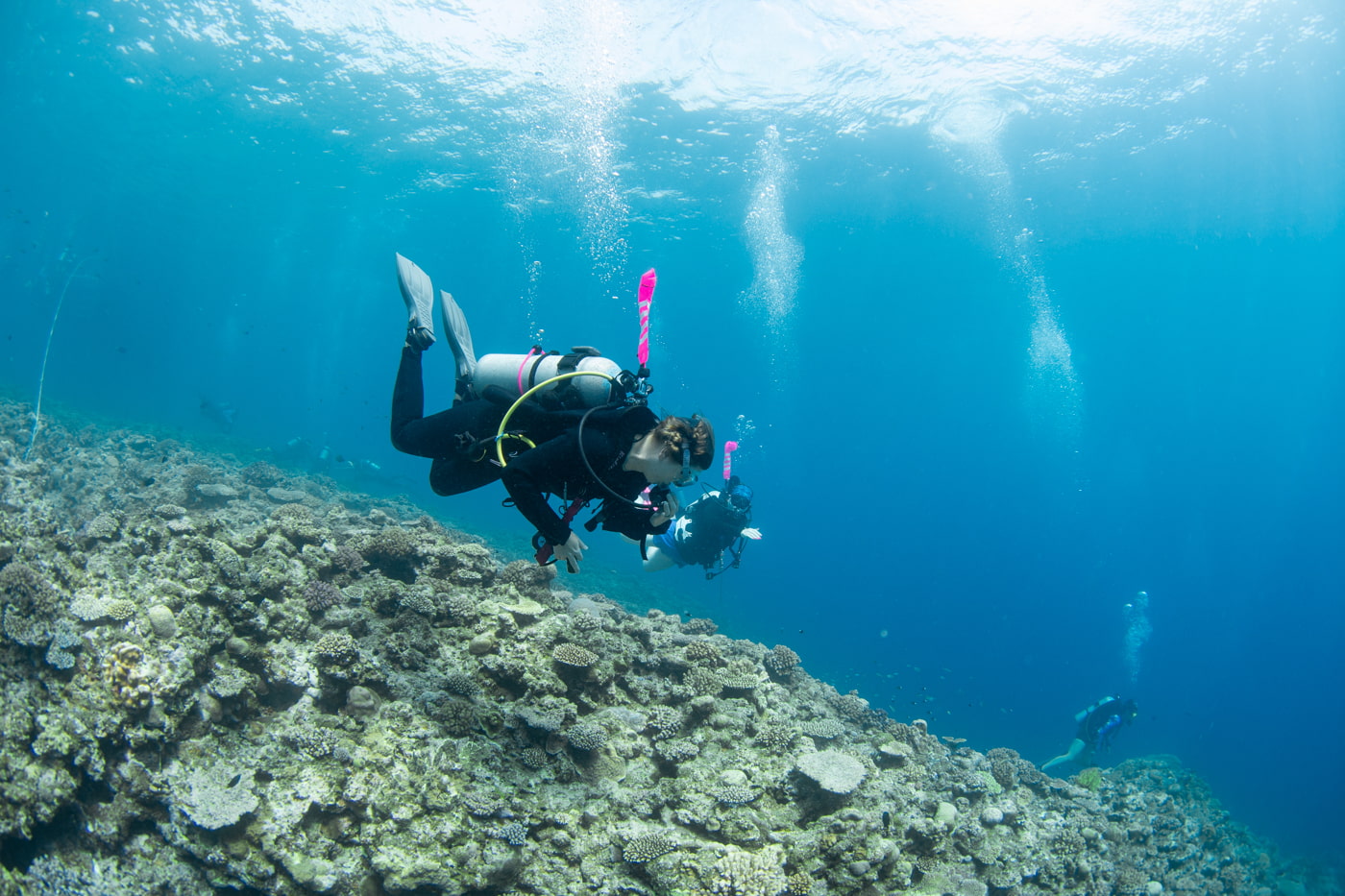 Guests enjoying scuba diving in the Kerama Islands.