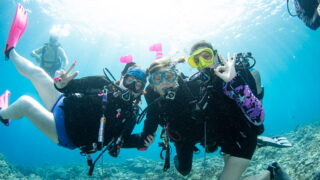 Diving in the Kerama Islands with Guests from the Netherlands and the USA