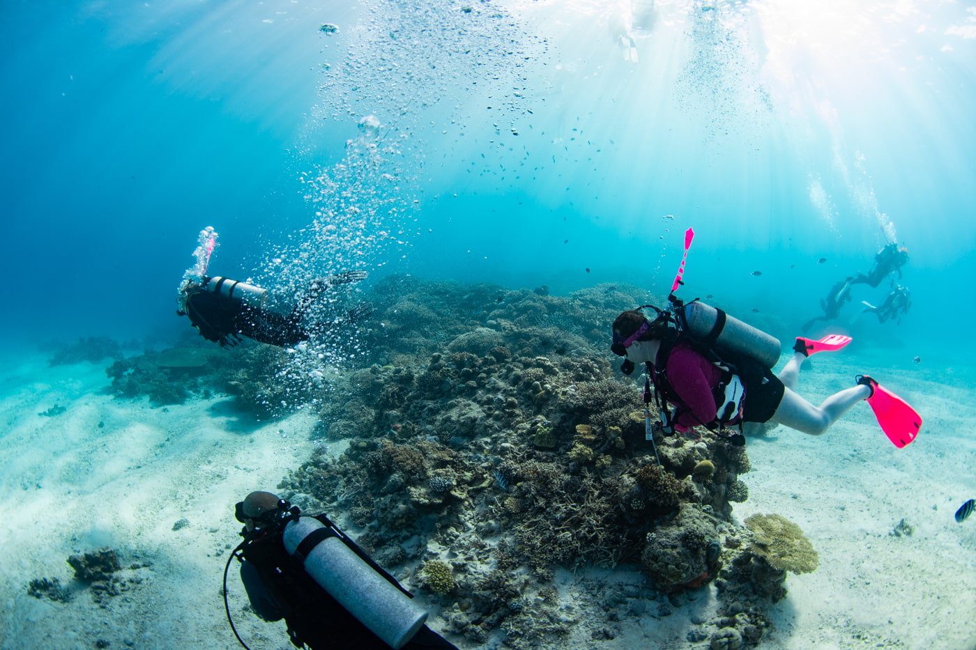 Underwater scenery