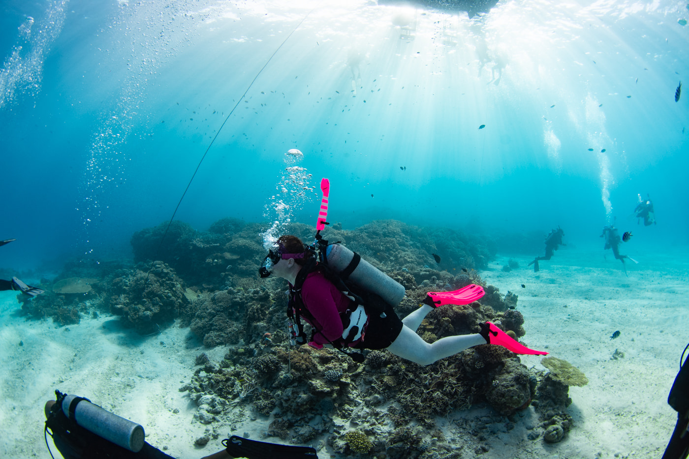Underwater scenery