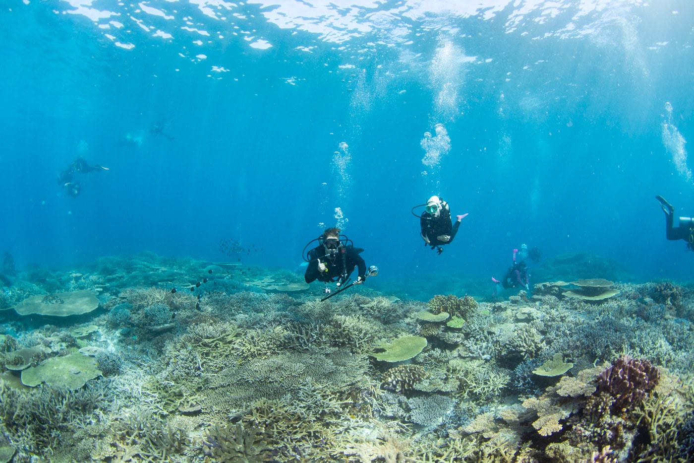 Underwater scenery