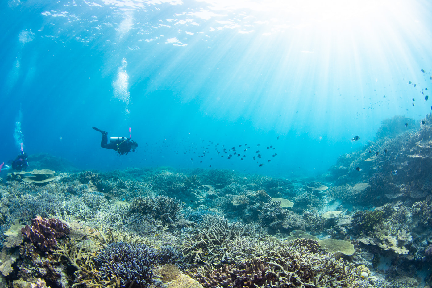 Underwater scenery