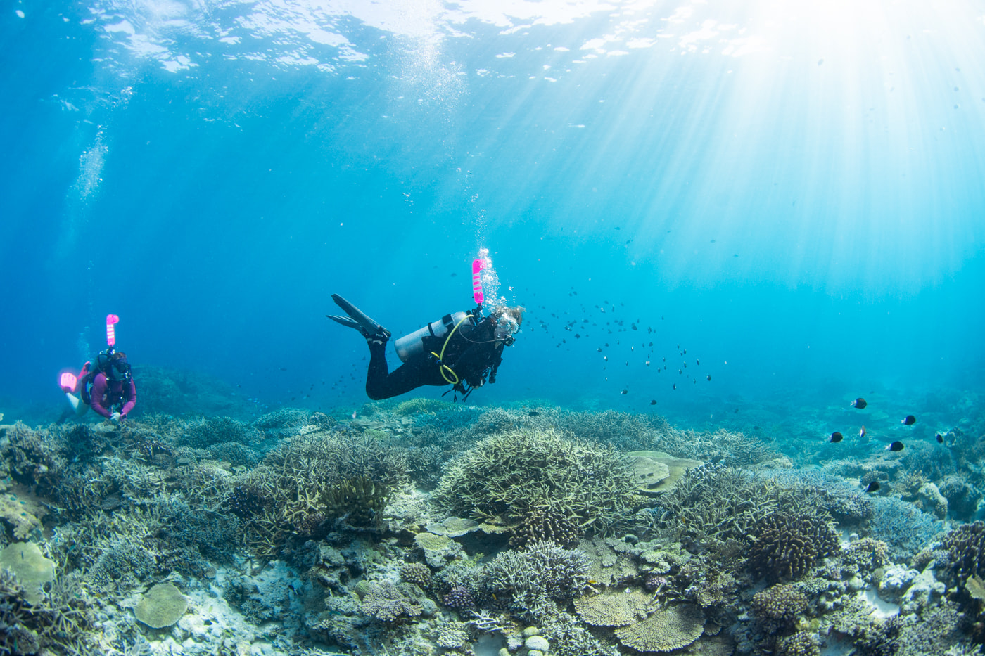 Guests enjoying scuba diving in the Kerama Islands.